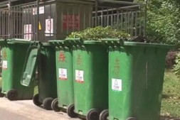 广州中心城区小区楼道垃圾桶将全部撤掉